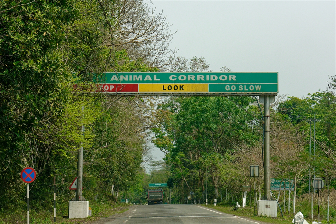 inde-439-N05