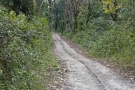 inde-408-B03