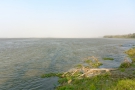 inde-449-N09