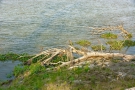 inde-450-N09
