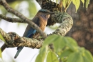 inde-025-G02